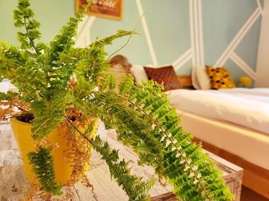 Apartment Colourful 2.5 Bedroom With Large Balcony & Garden. *