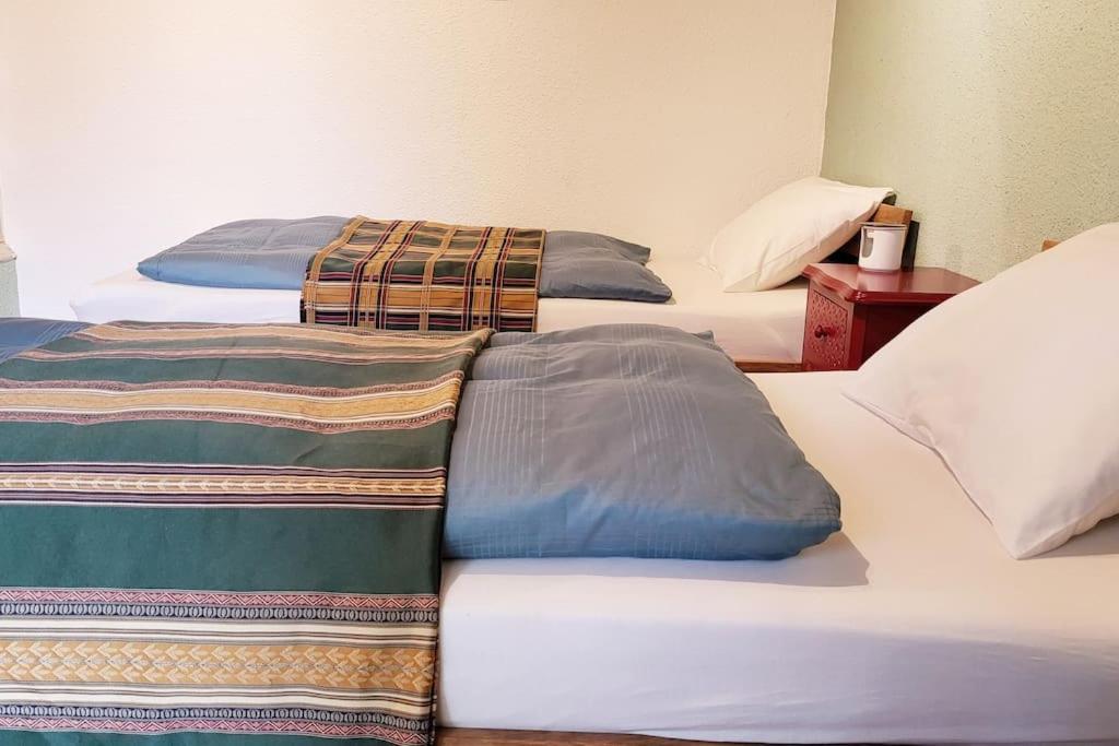 Apartment Colourful 2.5 Bedroom With Large Balcony & Garden. *