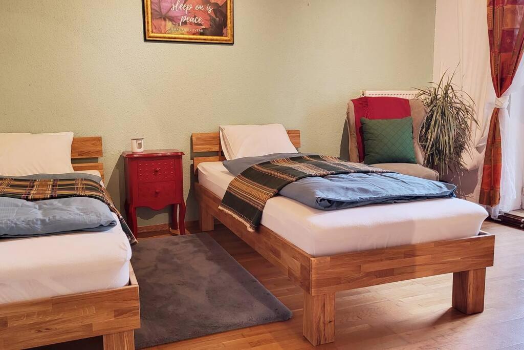 Colourful 2.5 Bedroom With Large Balcony & Garden. Apartment *