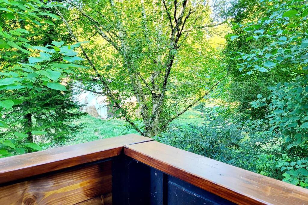 Apartment Colourful 2.5 Bedroom With Large Balcony & Garden. *